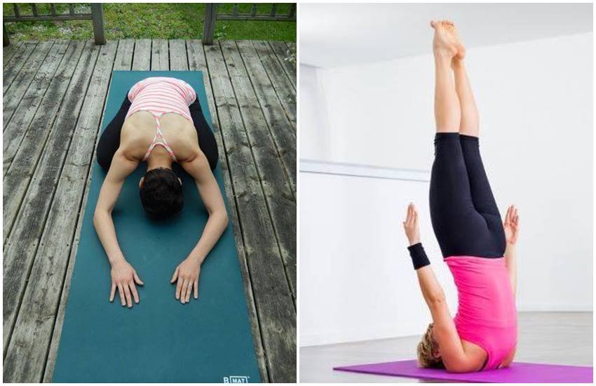 yoga, balasan, sarvangasana yoga, balasan, sarvangasana