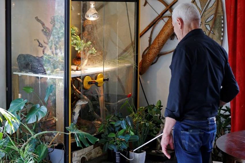 ruptly, Philippe Gillet, home, village, Coueron, zoo, reptiles, alligators, snakes, Philippe Gillet latest photos