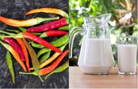 Food Adulteration, Food Safety and Standards Authority of India, FSSAI, Booklet, Detect Adulteration with Rapid Test, DART, Milk, Water, Detergent, Ghee, Starch, Chilly Powder, Dust, Coffee Powder, Clay, Green Vegetables, Die, Utility News, Hindi News
