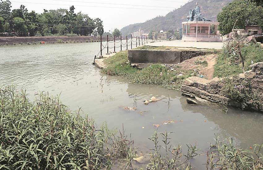 पर्यावरण और ऊर्जा विज्ञानी डॉ सागर धारा का कहना है कि यदि गंगा की स्वच्छता और निर्मलता को लेकर ईमानदारी से प्रयास शुरू नहीं किए गए तो हमारी भावी पीढ़ी इस जीवनदायिनी नदी के दर्शन भी नहीं कर पाएगी।