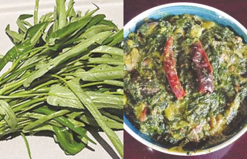 शहरों में पालक शाक का पर्याय बन गया है, जबकि शाक की अनेक प्रजातियां हैं और सभी के अपने-अपने स्वाद और गुण हैं।