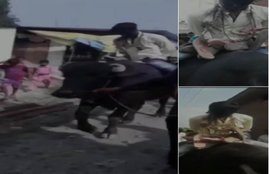Rampur case