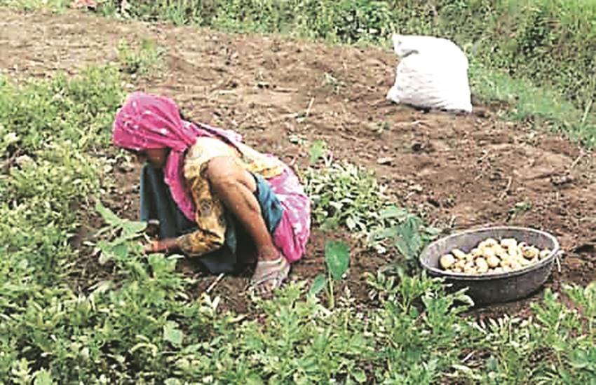 उत्तराखंड राज्य में खाद्य प्रसंस्करण विभाग की पहल पर इस क्षेत्र में करीब नौ सौ करोड़ रुपए के निवेश के प्रस्ताव विभिन्न कंपनियों ने भेजे हैं। उत्तराखंड राज्य में खाद्य प्रसंस्करण विभाग की पहल पर इस क्षेत्र में करीब नौ सौ करोड़ रुपए के निवेश के प्रस्ताव विभिन्न कंपनियों ने भेजे हैं।