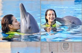 trisha krishnan trolled, Trisha Krishnan, Akshay Kumar, aishwarya rai bachchan, trisha krishnan trolled for dolphin photo, trisha krishnan troll
