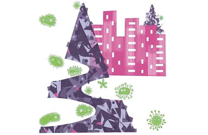 Illustration by C R Sasikumar Illustration by C R Sasikumar