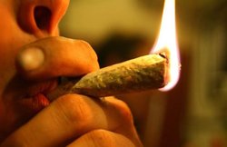 इस कॉलेज में गांजा भी फूंक सकेंगे स्टूडेंट्स, यूनिवर्सिटी ने दी इजाजत