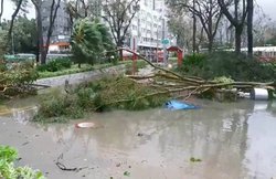 ‘मांगखुट’ तूफान के खौफ में चीन, फिलीपीन में मचा चुका है तबाही, 64 की जा चुकी है जान