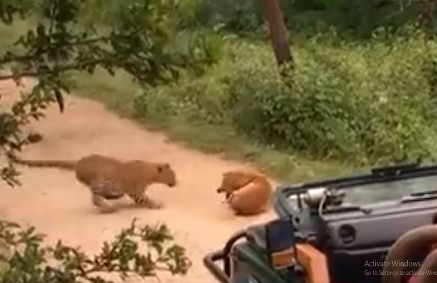 वीडियो से लिया गया स्क्रीनशॉट। (Source: Twitter/@TOICitiesNew)
