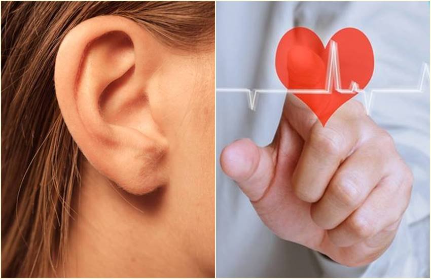 heart disease, heart, heart problem, ear, crease, ear crease tell heart problem, maharashtra, doctor, study, ear crease, heart disease