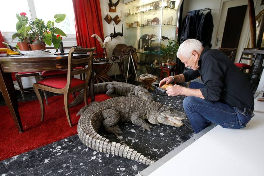 ruptly, Philippe Gillet, home, village, Coueron, zoo, reptiles, alligators, snakes, Philippe Gillet latest photos