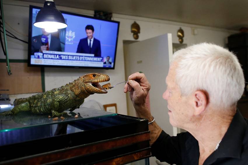 ruptly, Philippe Gillet, home, village, Coueron, zoo, reptiles, alligators, snakes, Philippe Gillet latest photos
