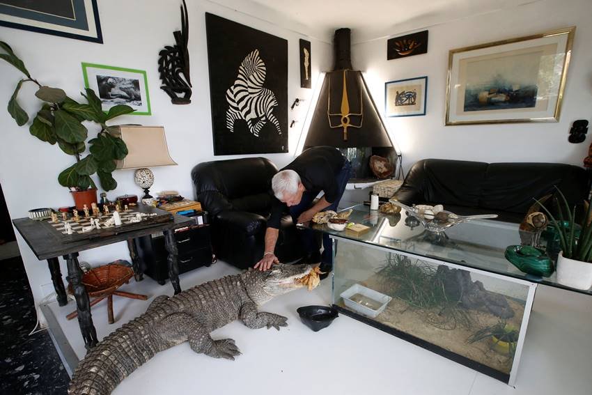 ruptly, Philippe Gillet, home, village, Coueron, zoo, reptiles, alligators, snakes, Philippe Gillet latest photos