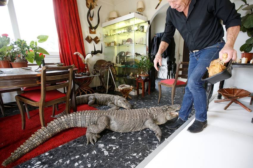 ruptly, Philippe Gillet, home, village, Coueron, zoo, reptiles, alligators, snakes, Philippe Gillet latest photos