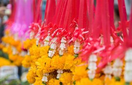 Flower, Flower in worship, Flower prayer, Flower in prayer, Flower and worship, Flower and prayer, Flower facts, Flower benefits, Flower and religion, Flower and god, Flower and goddess, religion news