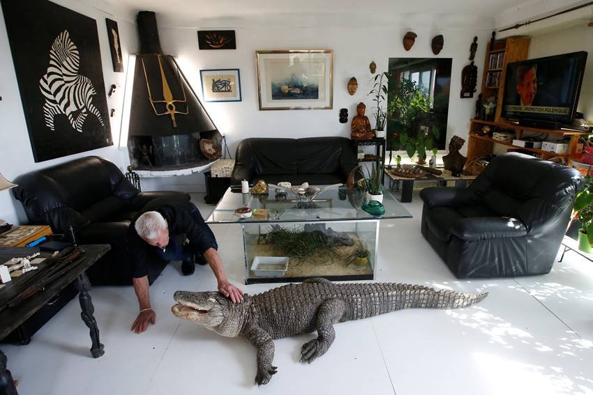ruptly, Philippe Gillet, home, village, Coueron, zoo, reptiles, alligators, snakes, Philippe Gillet latest photos