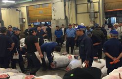 300 किलो जहर, गोंद लगी 40 हजार चादरें, ये देश कर रहा है हजारों चूहों को मार गिराने की तैयारी