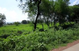 land