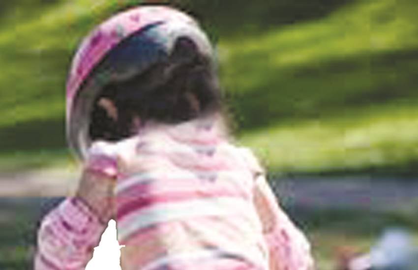 गुल्लू का जन्मदिन भी तभी आया और उसके पिताजी ने उसे लाल रंग की साइकिल उपहार स्वरूप दी। जैसे ही वर्षा थमी, वह उसे सड़क पर लेकर निकल गया।