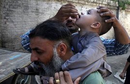 polio virus
