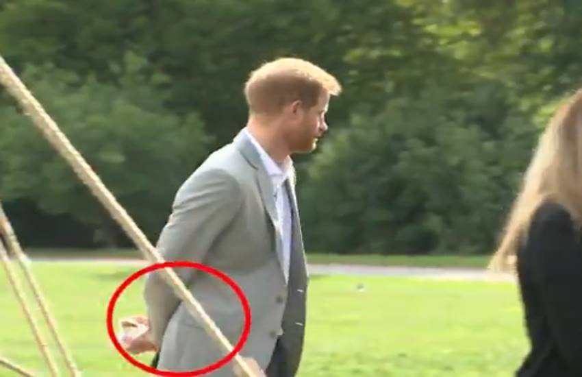 princce harry, samosa, stolen