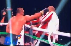Boxer Attackd Trainer