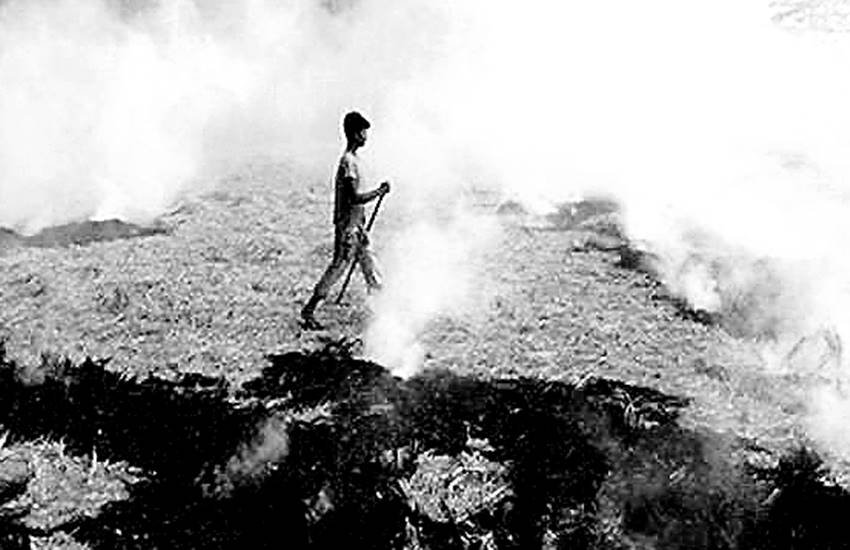 पराली नष्ट करने को लेकर अपनाई गई सरकार की नीतियों में भारी खामियां हैं। पराली नष्ट करने को लेकर अपनाई गई सरकार की नीतियों में भारी खामियां हैं।