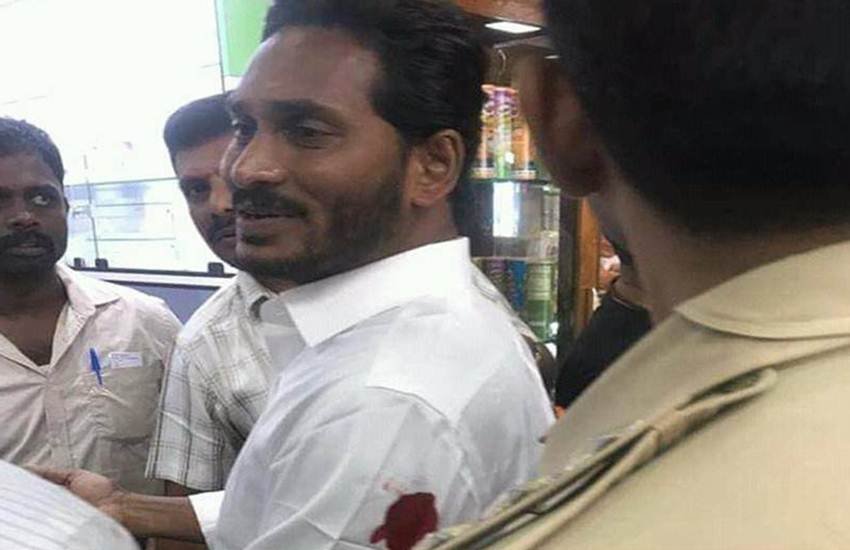 Jagan Mohan Reddy, YSRCP Chief, Attack, Stabbed, Arm, Unidentified, Assailant, Visakhapatnam Airport, Andhra Pradesh, State News, Hindi News