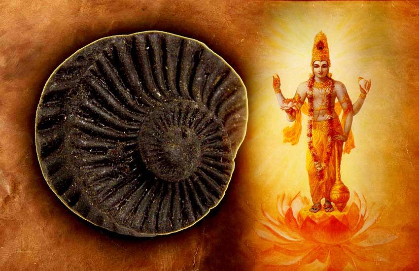 भगवान विष्णु को सती वृंदा के श्राप के कारण शालिग्राम का स्वरूप प्राप्त हुआ था। भगवान विष्णु को सती वृंदा के श्राप के कारण शालिग्राम का स्वरूप प्राप्त हुआ था।