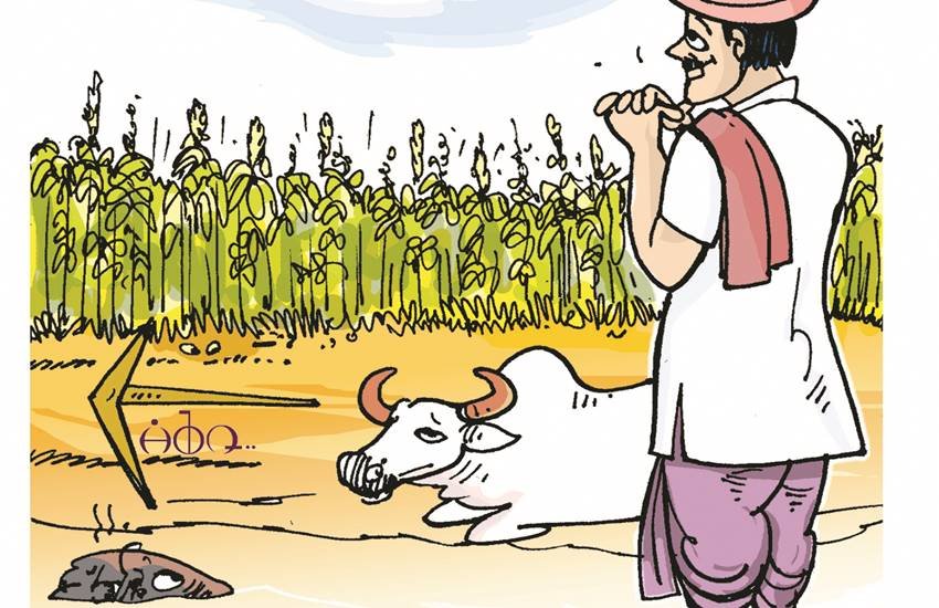 प्रतीकात्मक चित्र प्रतीकात्मक चित्र