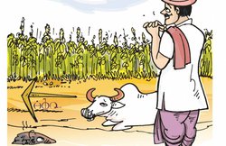 नन्ही दुनियाः कहानी – धरतीपुत्र