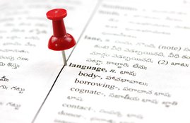 Telugu Language, Telugu, America, Telugu becoming popular in America, Telugu becoming popular in America, BBC, BBC Report, world economic forum, WEF