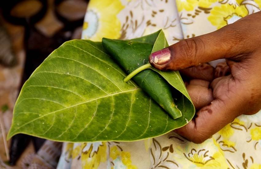पान केवल खाने की ही सामग्री नहीं है बल्कि इसका इस्तेमाल सौंदर्य संबंधी समस्याओं को दूर करने में भी किया जा सकता है। 