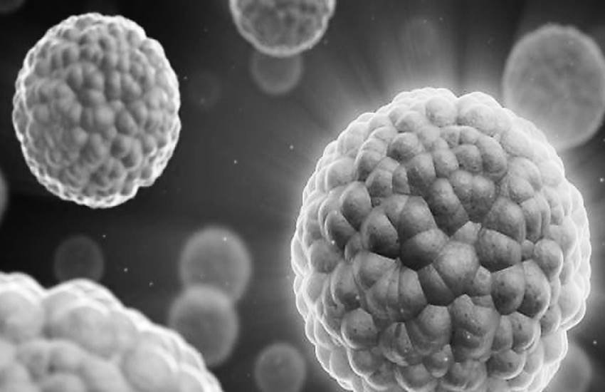 प्रतीकात्मक तस्वीर