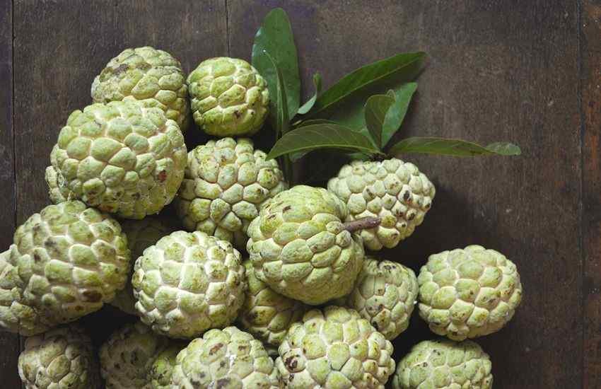 शरीफा खाना सेहत के लिए लाभकारी होता है। 