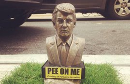 tiny Donald Trump pee on me Statues, donald trump statues, New York new Donald trump statues, viral statues, Pee On Me, indian express,
