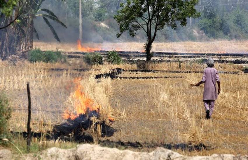 प्रतीकात्मक तस्वीर 