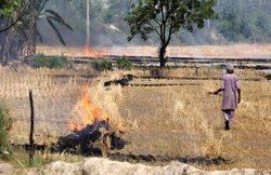 यूपी: कर्ज में डूबे किसान ने फांसी लगाकर दी जान, बैंक बना रहा था दबाव