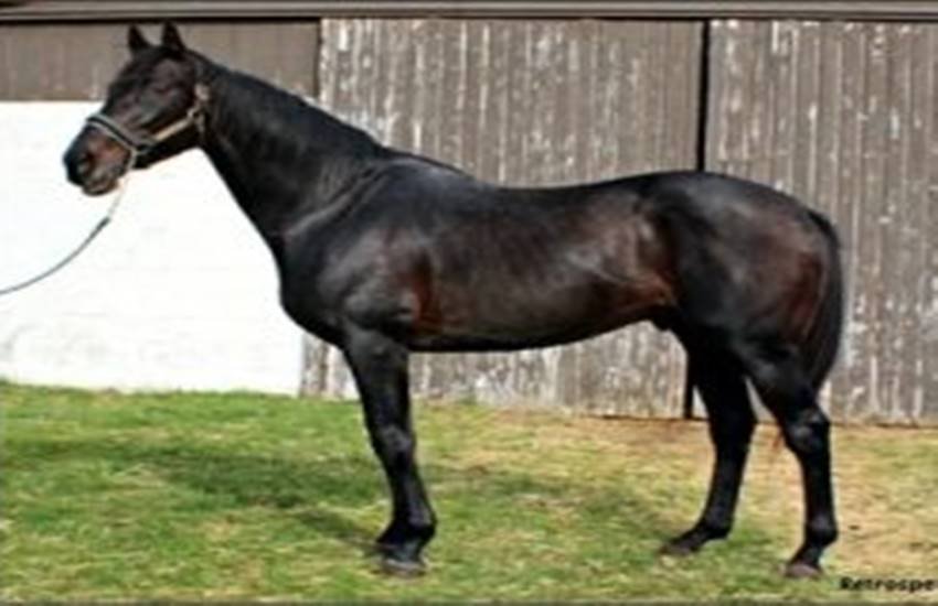 प्रतीकात्मक चित्र। (Photo Courtesy: the indian express)