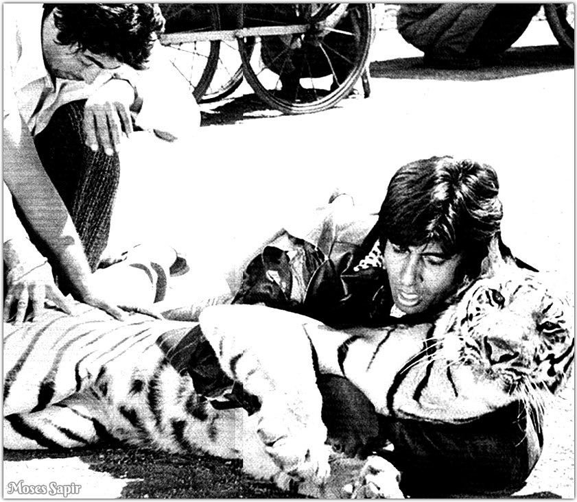 Amitabh Bachchan, Happy Birthday Amitabh Bachchan, Amitabh Bachchan quotes, Amitabh Bachchan pics, Amitabh Bachchan movies, big bi, bg b rare pics, big b bithday, big unknown facts