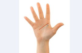 Brain Line, Brain Line on palm, Brain Line facts, Brain Line benefits, Brain Line reason, hastrekha, hastrekha facts, hastrekha lines, mastishk rekha, mastishk rekha facts, religion news