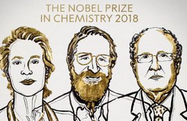 nobel prize 2018