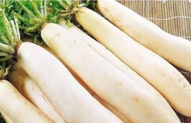 benefits of radish, radish benefits, health news, health benefits, radish, eating radish, health news in hindi, jansatta