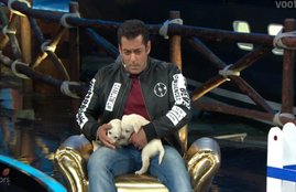salman khan, bigg boss 12, bigg boss 12 salman khan, ayush sharma, verina hussain, ayush sharma lvyatri, salman khan deepika kakar, anup jalota