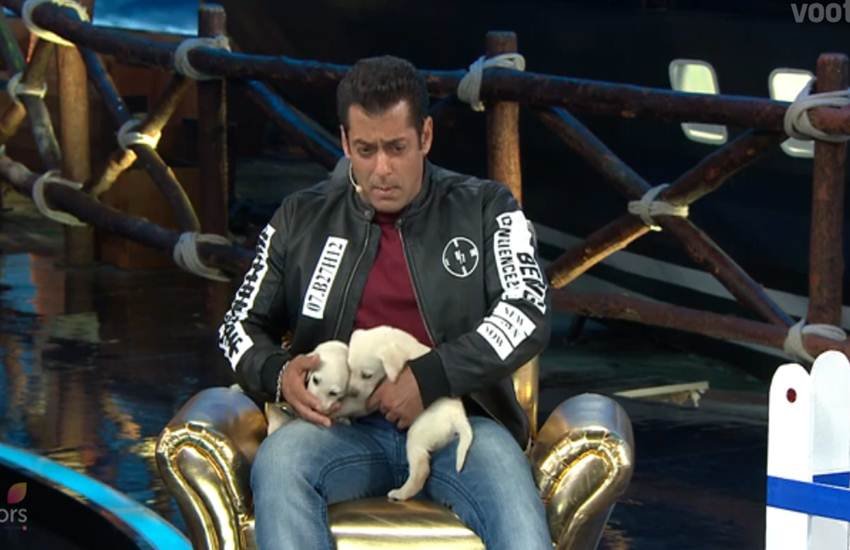 salman khan, bigg boss 12, bigg boss 12 salman khan, ayush sharma, verina hussain, ayush sharma lvyatri, salman khan deepika kakar, anup jalota