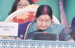 सुषमा ने पाकिस्तान को दिखाया आईना, चीन को भी खरी-खरी