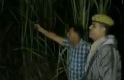 यूपी: एनकाउंटर के दौरान ‘ठांय-ठांय’ बोलने वाले दरोगा को इनाम देगी पुलिस