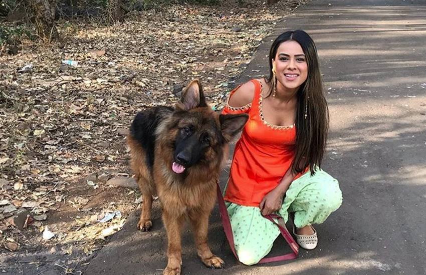 एक्ट्रेस निया शर्मा (फोटोसोर्स: @niasharma90)