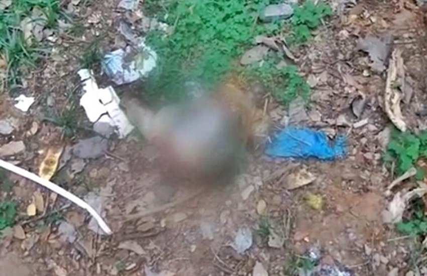 नवजात बच्चे का शव (प्रतीकात्मक फोटो), फोटो सोर्स- इंडियन एक्सप्रेस