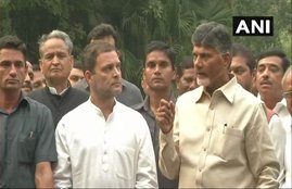 Congress-TDP Alliance, Narendra Modi Government, BJP, Congress, TDP, Alliance, Fight, Rahul Gandhi, Chandra Babu Naidu, National News, Hindi News