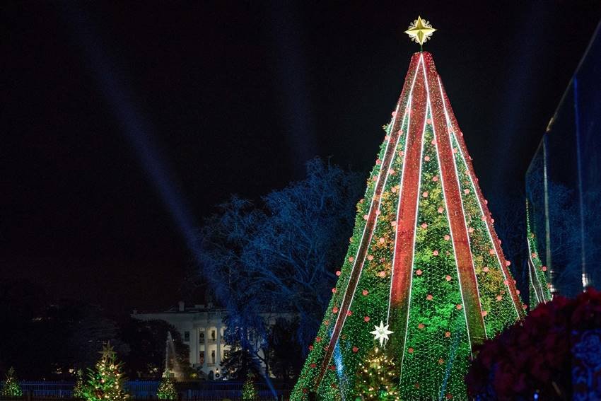 christmas, white house, melania trump, donald trump, red, trees, national christmas tree"